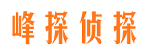 灵台侦探公司